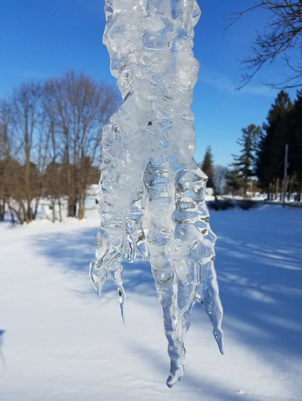 Fun Things to Craft With&nbsp;Ice